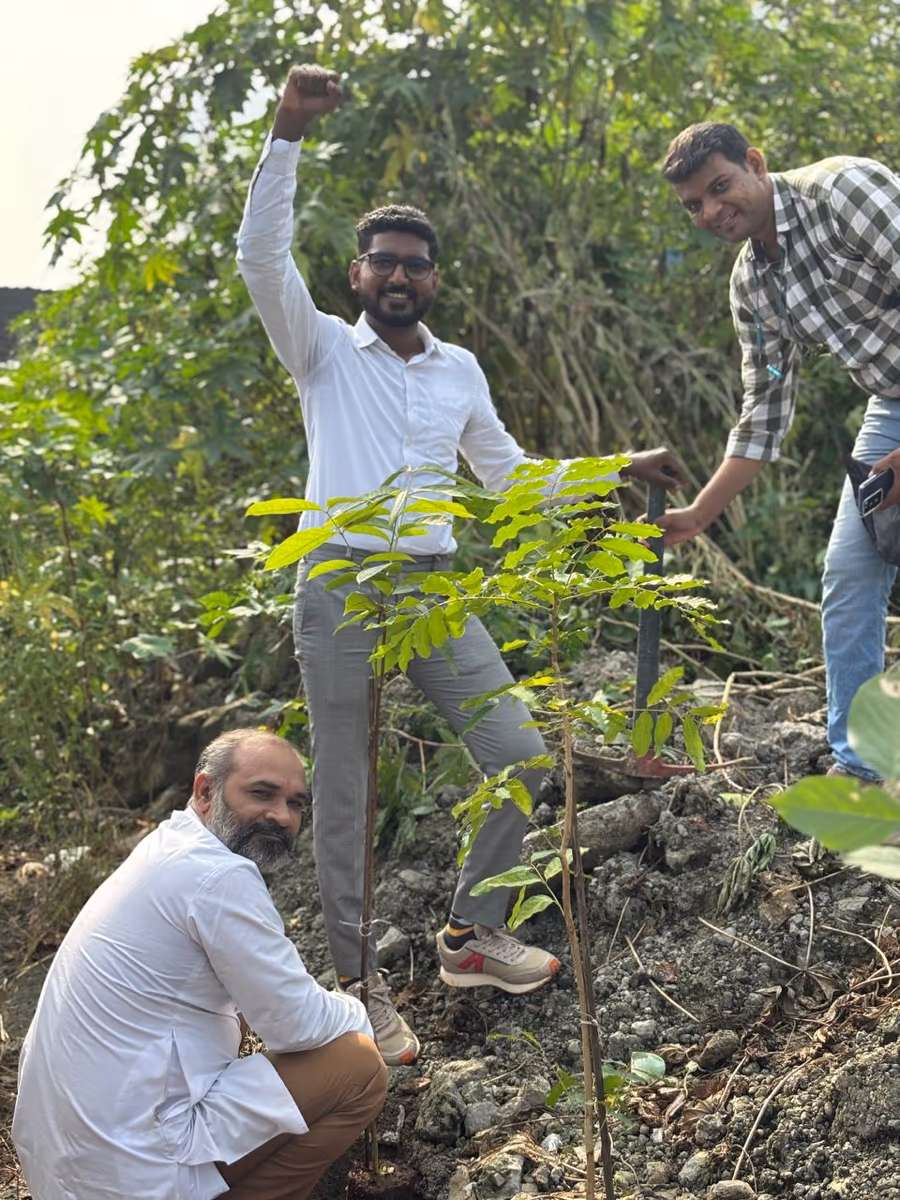 Teammates planting saplings on a tree-plantation drive
